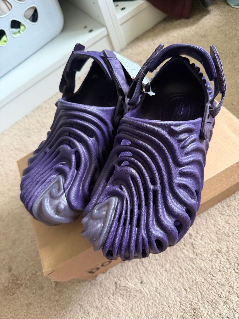 Crocs Pollex Clog Purple